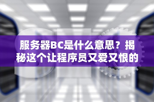 服务器BC是什么意思？揭秘这个让程序员又爱又恨的“黑话”