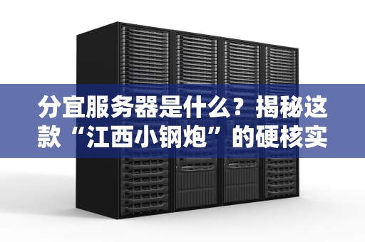 分宜服务器是什么？揭秘这款“江西小钢炮”的硬核实力！