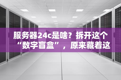 服务器24c是啥？拆开这个“数字盲盒”，原来藏着这么多秘密！