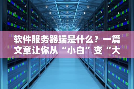软件服务器端是什么？一篇文章让你从“小白”变“大神”！