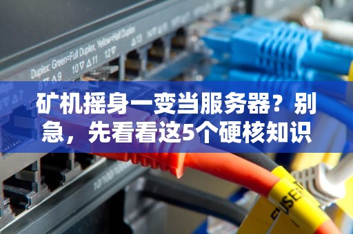 矿机摇身一变当服务器？别急，先看看这5个硬核知识点！