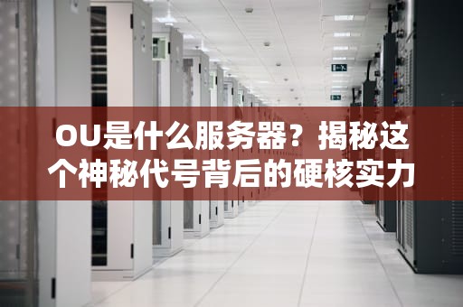 OU是什么服务器？揭秘这个神秘代号背后的硬核实力！