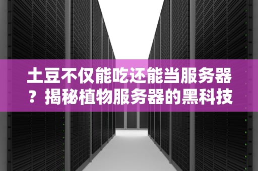 土豆不仅能吃还能当服务器？揭秘植物服务器的黑科技