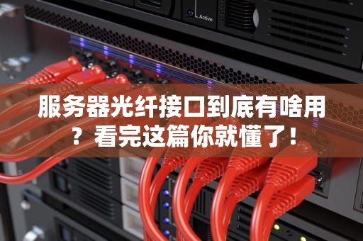 服务器光纤接口到底有啥用？看完这篇你就懂了！