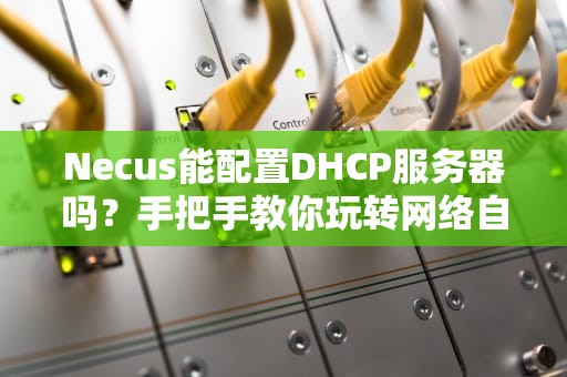 Necus能配置DHCP服务器吗？手把手教你玩转网络自动分配！