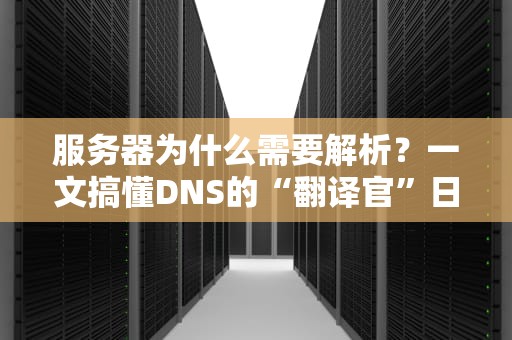 服务器为什么需要解析？一文搞懂DNS的“翻译官”日常