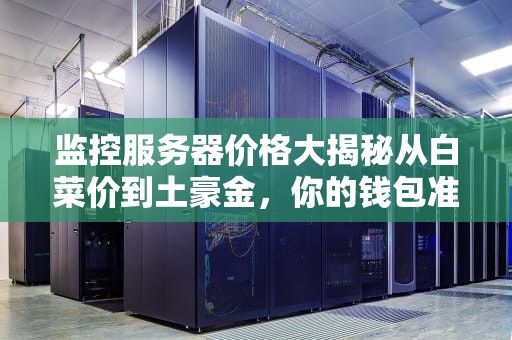 监控服务器价格大揭秘从白菜价到土豪金，你的钱包准备好了吗？