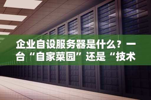 企业自设服务器是什么？一台“自家菜园”还是“技术深坑”？专业测评博主带你避雷！