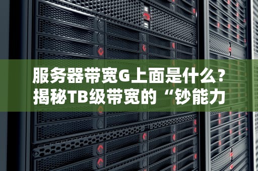 服务器带宽G上面是什么？揭秘TB级带宽的“钞能力”世界！