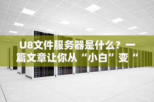 U8文件服务器是什么？一篇文章让你从“小白”变“大神”！
