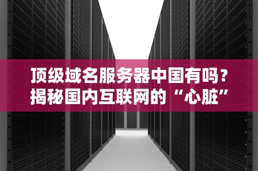 顶级域名服务器中国有吗？揭秘国内互联网的“心脏”有多强！