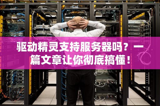 驱动精灵支持服务器吗？一篇文章让你彻底搞懂！
