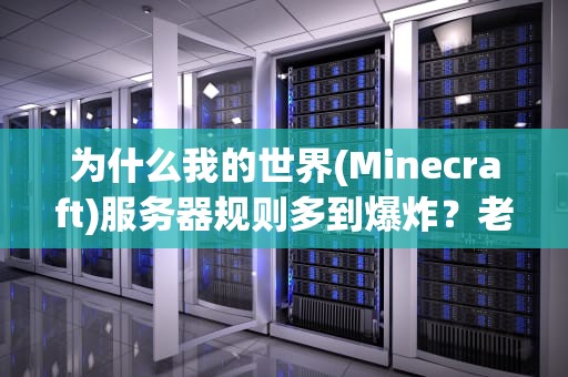 为什么我的世界(Minecraft)服务器规则多到爆炸？老玩家带你一探究竟！