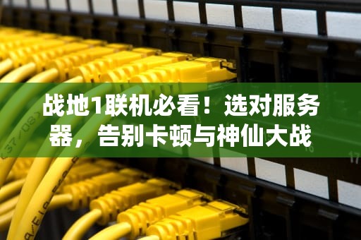 战地1联机必看！选对服务器，告别卡顿与神仙大战