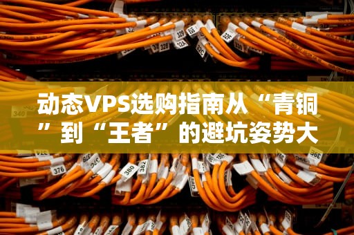 动态VPS选购指南从“青铜”到“王者”的避坑姿势大全