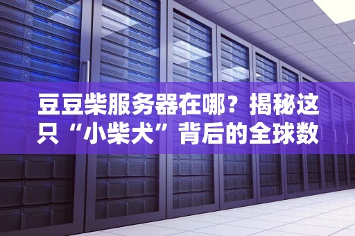 豆豆柴服务器在哪？揭秘这只“小柴犬”背后的全球数据中心布局