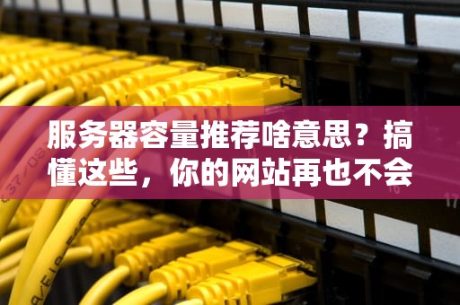 服务器容量推荐啥意思？搞懂这些，你的网站再也不会“卡到爆”！（附真实案例）