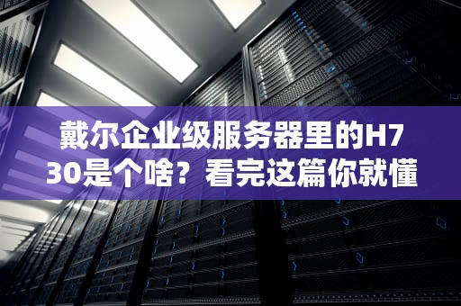 戴尔企业级服务器里的H730是个啥？看完这篇你就懂了！