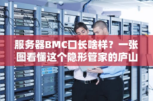 服务器BMC口长啥样？一张图看懂这个隐形管家的庐山真面目！