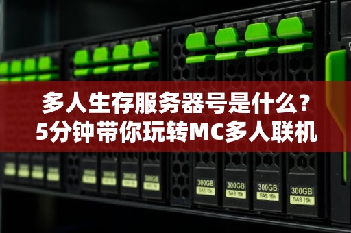 多人生存服务器号是什么？5分钟带你玩转MC多人联机世界！