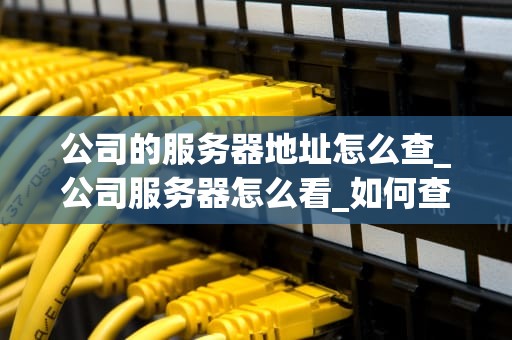 公司的服务器地址怎么查_公司服务器怎么看_如何查找公司的服务器地址