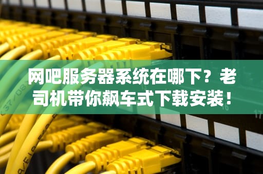 服务器标准系统是啥？搞懂它，运维不再秃然焦虑！