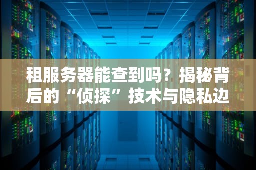 租服务器能查到吗？揭秘背后的“侦探”技术与隐私边界