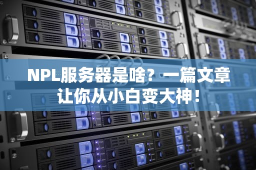 NPL服务器是啥？一篇文章让你从小白变大神！