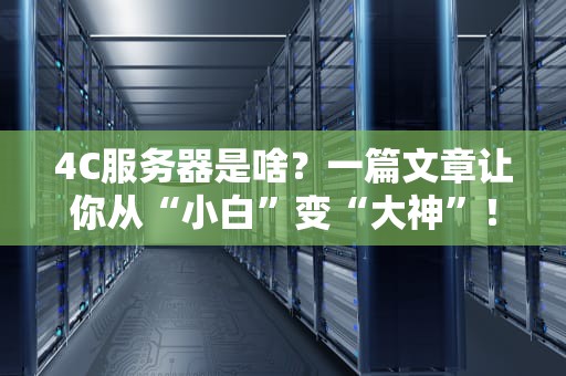 4C服务器是啥？一篇文章让你从“小白”变“大神”！