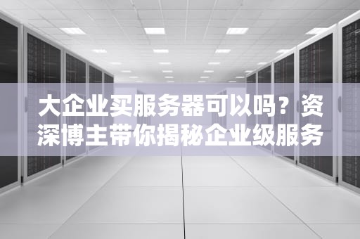 大企业买服务器可以吗？资深博主带你揭秘企业级服务器的“钞能力”