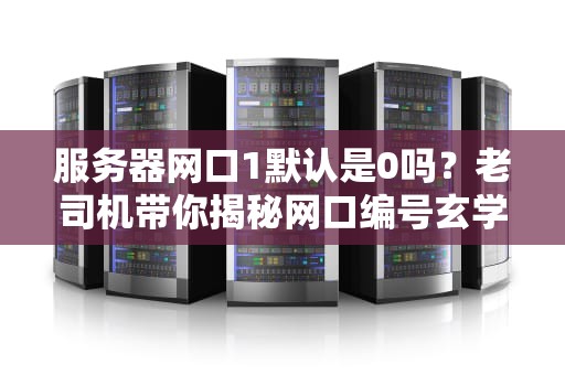 服务器网口1默认是0吗？老司机带你揭秘网口编号玄学！