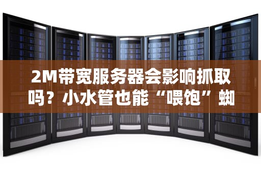 2M带宽服务器会影响抓取吗？小水管也能“喂饱”蜘蛛吗？