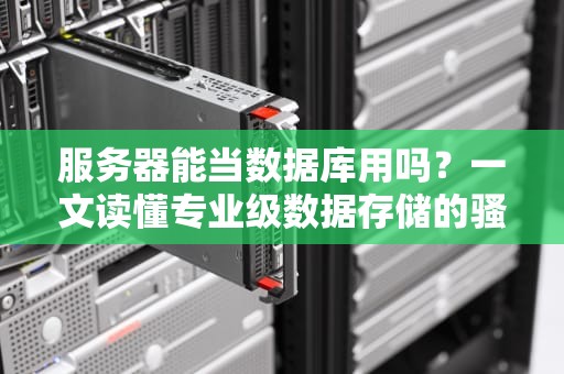 服务器能当数据库用吗？一文读懂专业级数据存储的骚操作！