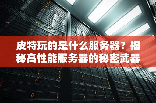 皮特玩的是什么服务器？揭秘高性能服务器的秘密武器！