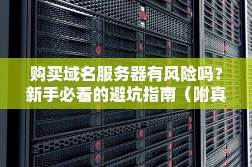 购买域名服务器有风险吗？新手必看的避坑指南（附真实案例）