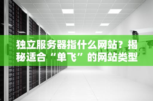 独立服务器指什么网站？揭秘适合“单飞”的网站类型！