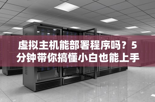 虚拟主机能部署程序吗？5分钟带你搞懂小白也能上手的“程序安家指南”
