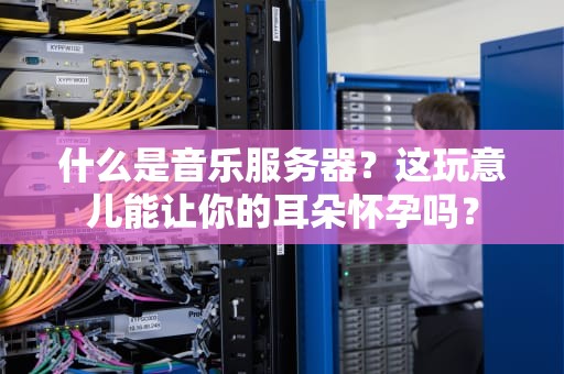 什么是音乐服务器？这玩意儿能让你的耳朵怀孕吗？