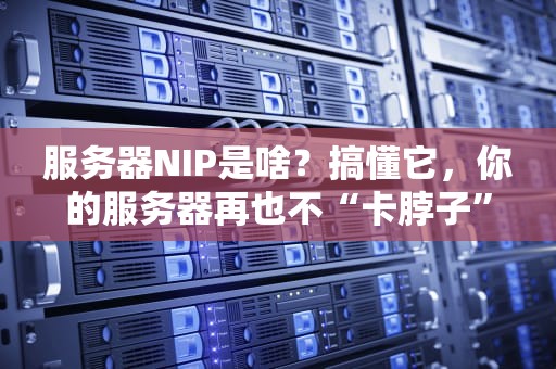 服务器NIP是啥？搞懂它，你的服务器再也不“卡脖子”！