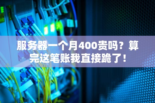 服务器一个月400贵吗？算完这笔账我直接跪了！