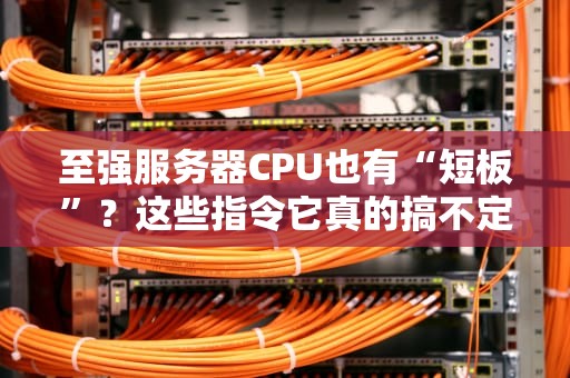 至强服务器CPU也有“短板”？这些指令它真的搞不定！