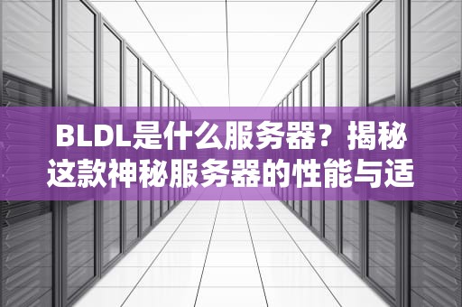 BLDL是什么服务器？揭秘这款神秘服务器的性能与适用场景