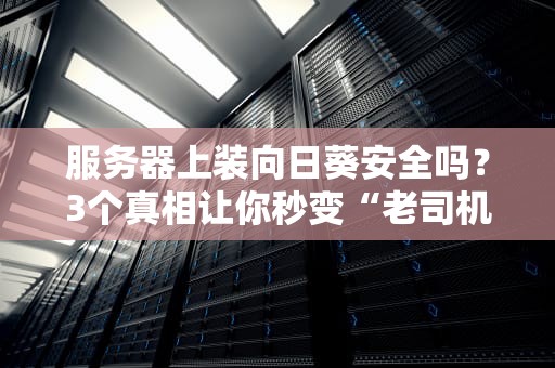 服务器上装向日葵安全吗？3个真相让你秒变“老司机”