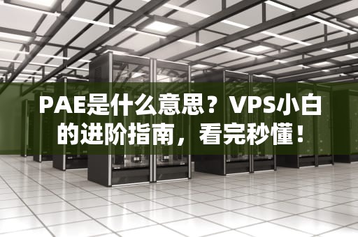 PAE是什么意思？VPS小白的进阶指南，看完秒懂！