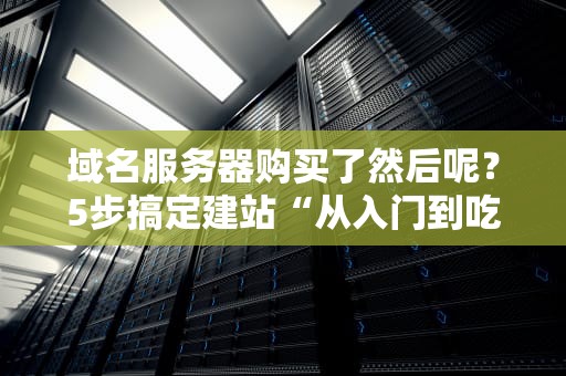 域名服务器购买了然后呢？5步搞定建站“从入门到吃鸡”指南
