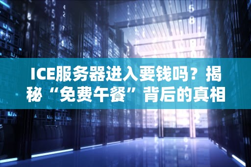 ICE服务器进入要钱吗？揭秘“免费午餐”背后的真相！