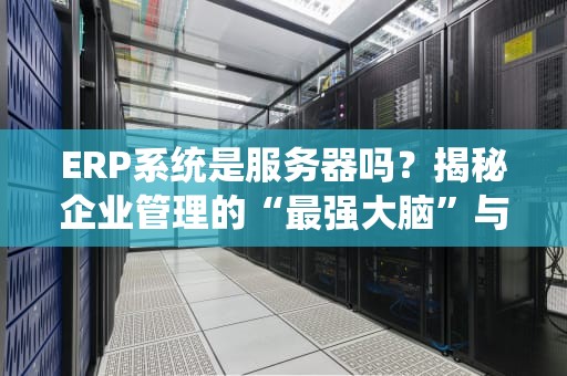 ERP系统是服务器吗？揭秘企业管理的“最强大脑”与“肌肉猛男”关系