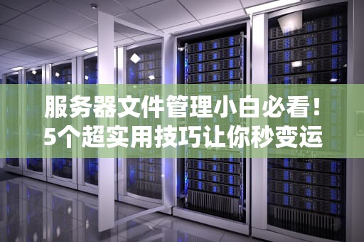 服务器文件管理小白必看！5个超实用技巧让你秒变运维大神