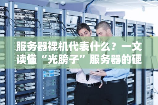 服务器裸机代表什么？一文读懂“光膀子”服务器的硬核实力！