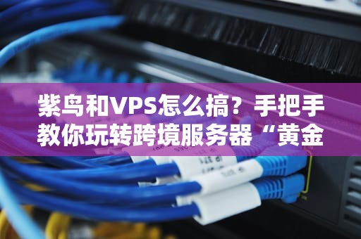 紫鸟和VPS怎么搞？手把手教你玩转跨境服务器“黄金搭档”！（附避坑指南）